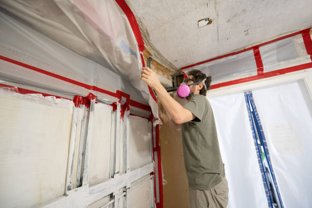 Best Emergency Mold Remediation  in The Woodlands, TX